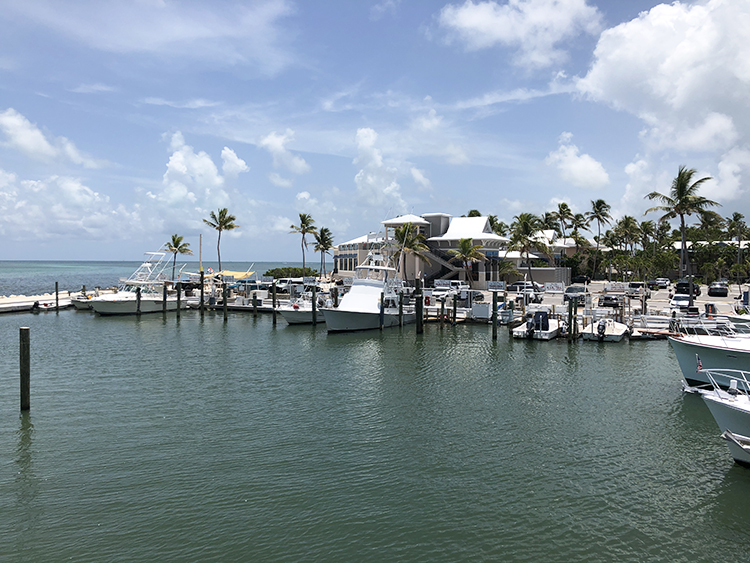 The Florida Keys